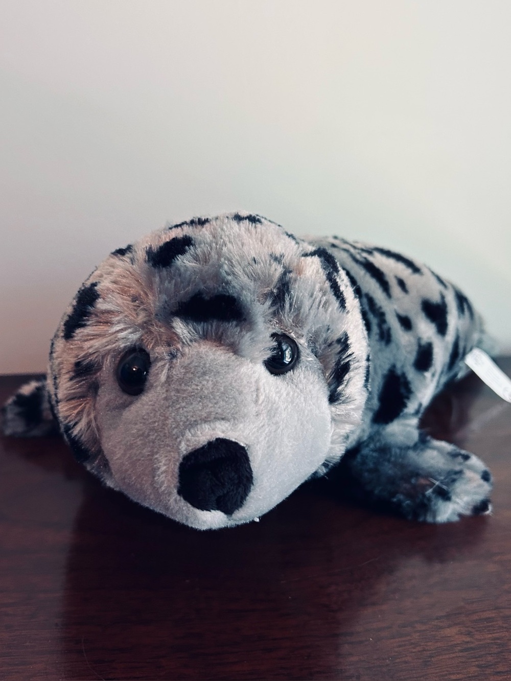 The Petting Zoo Gray Harbor Seal Plush Spotted 2015 17"